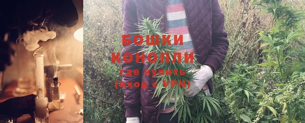 ПСИЛОЦИБИНОВЫЕ ГРИБЫ Алексеевка